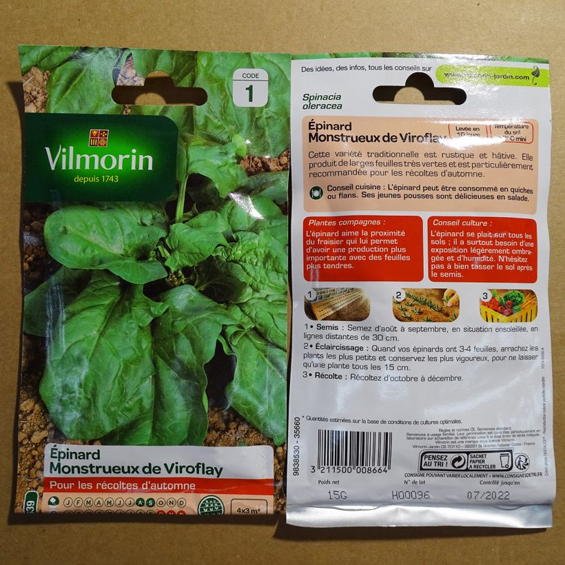 Ejemplo de ejemplar de Jambú Monstrueux de Viroflay - Vilmorin saco de 1500 semillas (15g) tal y como se entrega