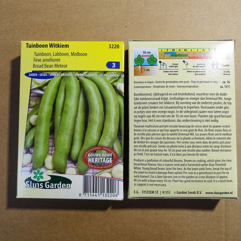 Ejemplo de ejemplar de Haba Witkiem saco de 42 semillas (85g) tal y como se entrega