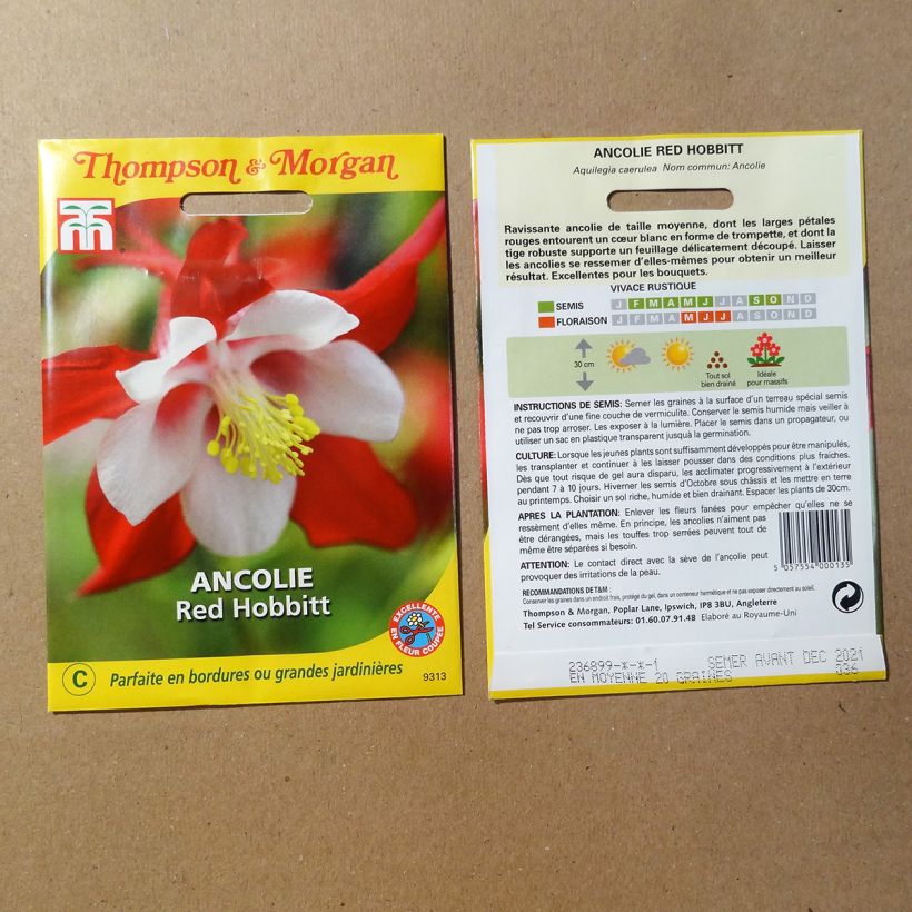 Ejemplo de ejemplar de Aquilegia caerulea Red Hobbit saco de 20 semillas tal y como se entrega