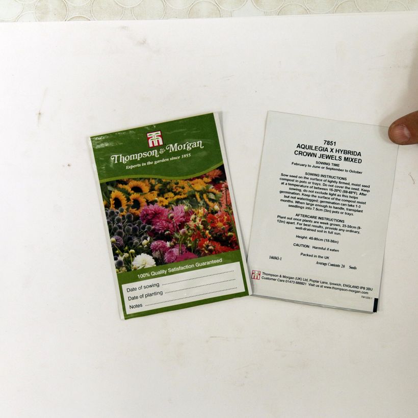 Ejemplo de ejemplar de Aquilegia Crown Jewels Mixed saco de 20 semillas tal y como se entrega
