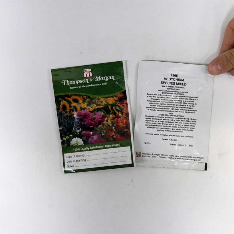 Ejemplo de ejemplar de Hedychium gardnerianum Species Mixed saco de 10 semillas tal y como se entrega