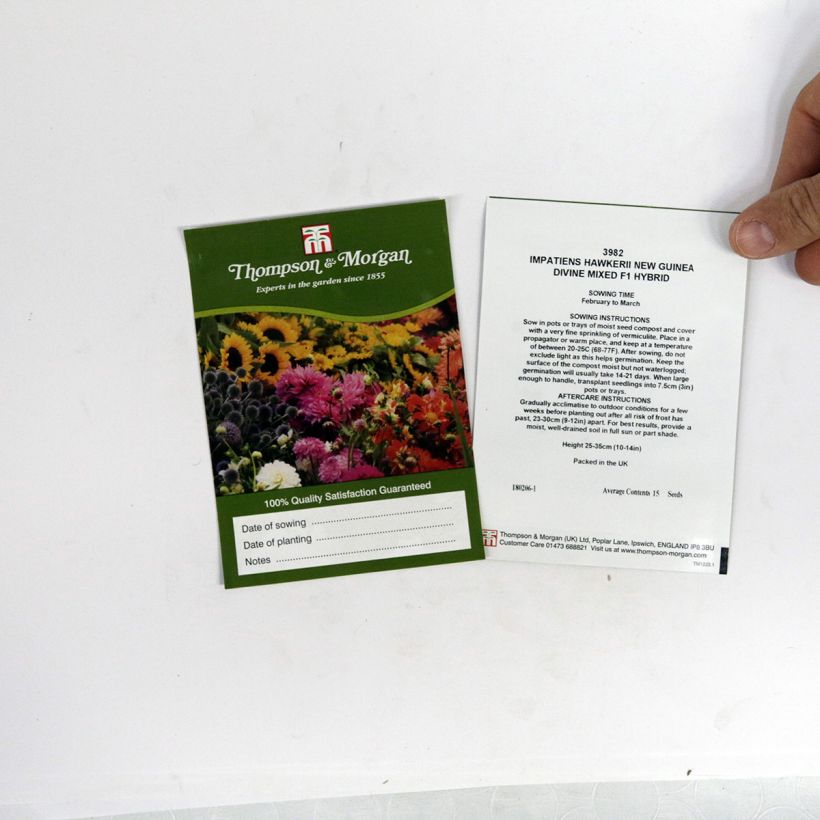 Ejemplo de ejemplar de Impatiens Divine Mixed - Alegría saco de 15 semillas tal y como se entrega