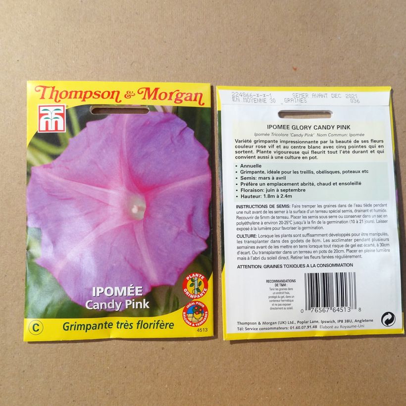 Ejemplo de ejemplar de Ipomoea purpurea Candy Pink saco de 1.5 gramos de semillas tal y como se entrega