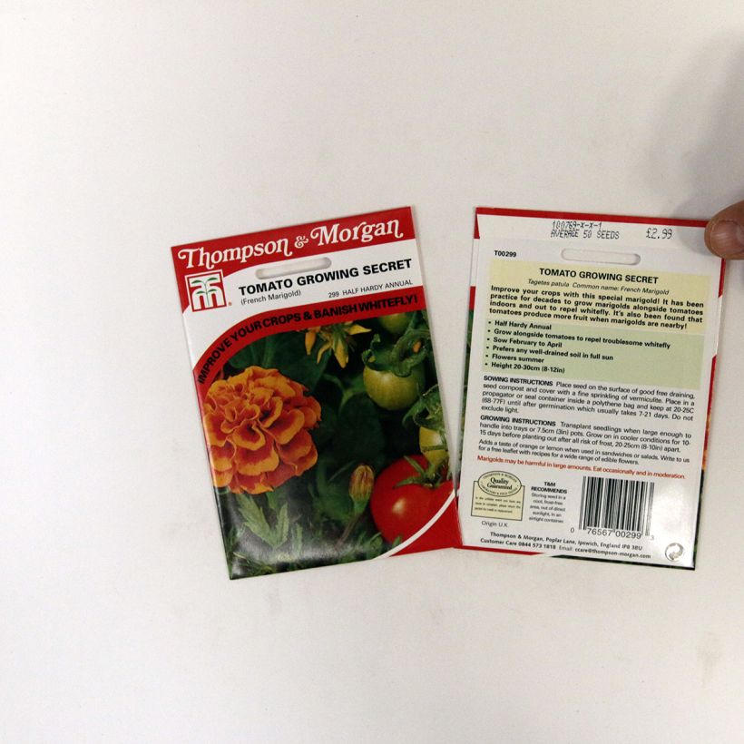 Ejemplo de ejemplar de Clavel de moro Tomato Growing Secret saco de 50 semillas tal y como se entrega