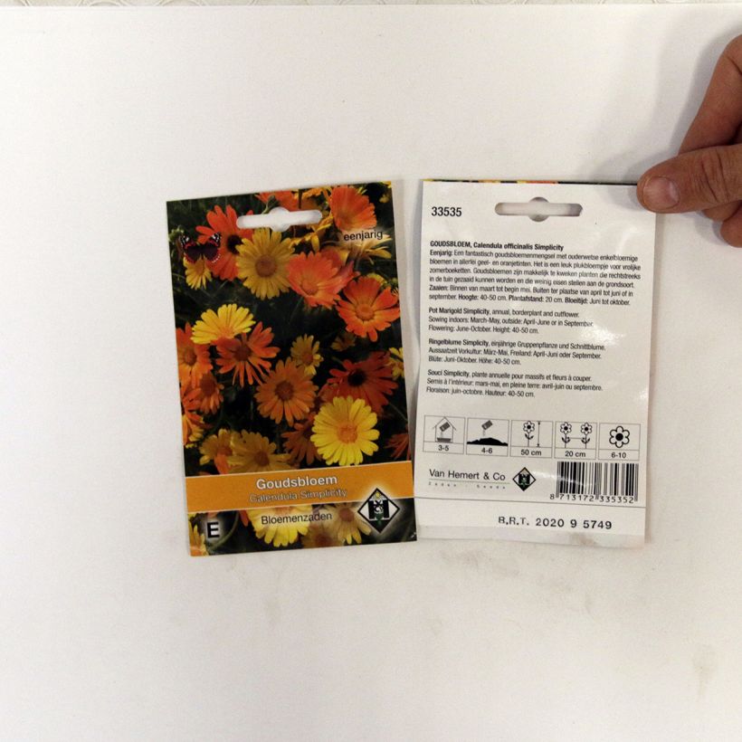 Ejemplo de ejemplar de Calendula officinalis Simplicity saco de 150 semillas (1g) tal y como se entrega