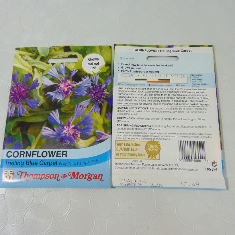 Ejemplo de ejemplar de Azulejo Trailing Blue Carpet saco de 30 semillas tal y como se entrega