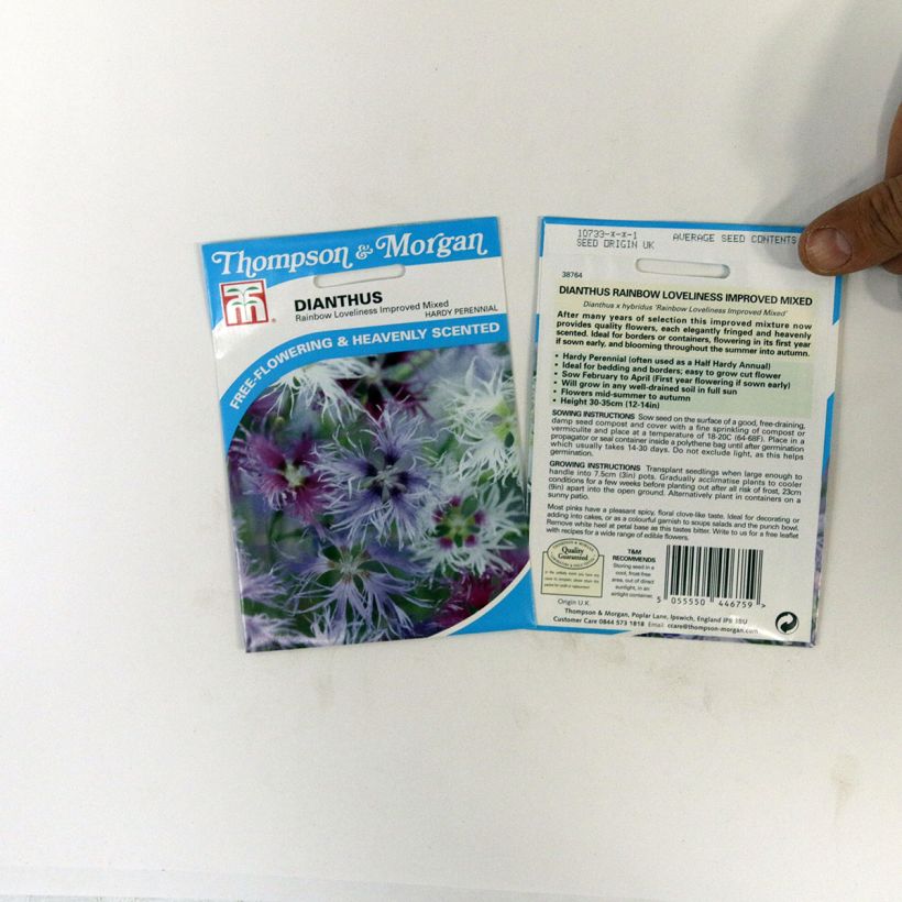 Ejemplo de ejemplar de Dianthus hybrid Rainbow Loveliness Improved Mixed - Clavel saco de 30 semillas tal y como se entrega
