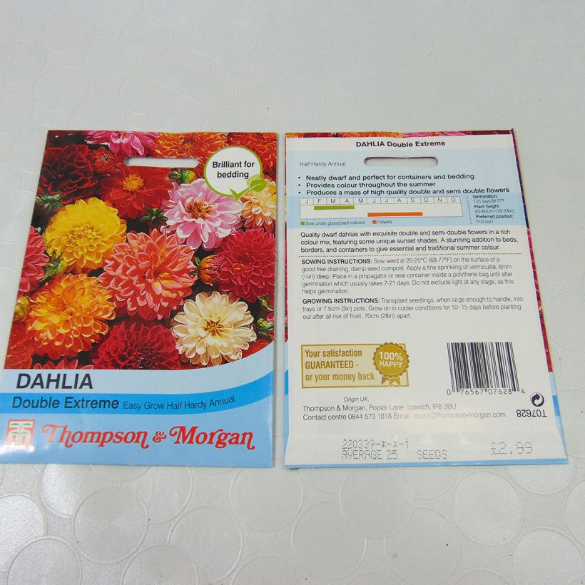 Ejemplo de ejemplar de Dalia Double Extreme saco de 50 semillas (0,5g) tal y como se entrega