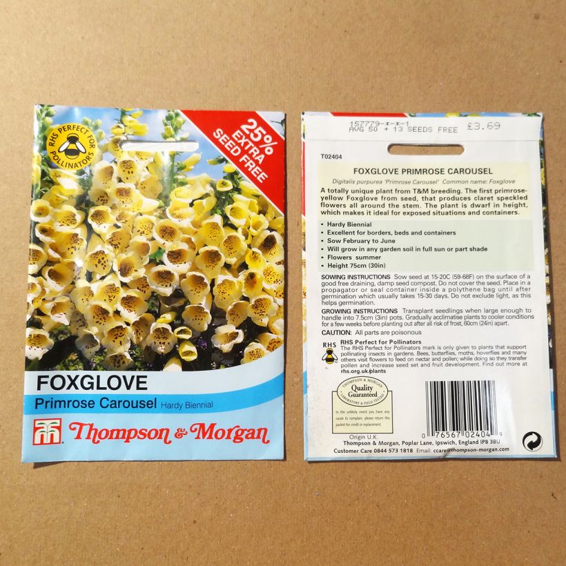 Ejemplo de ejemplar de Digitalis purpurea Primrose Carousel saco de 50 semillas tal y como se entrega