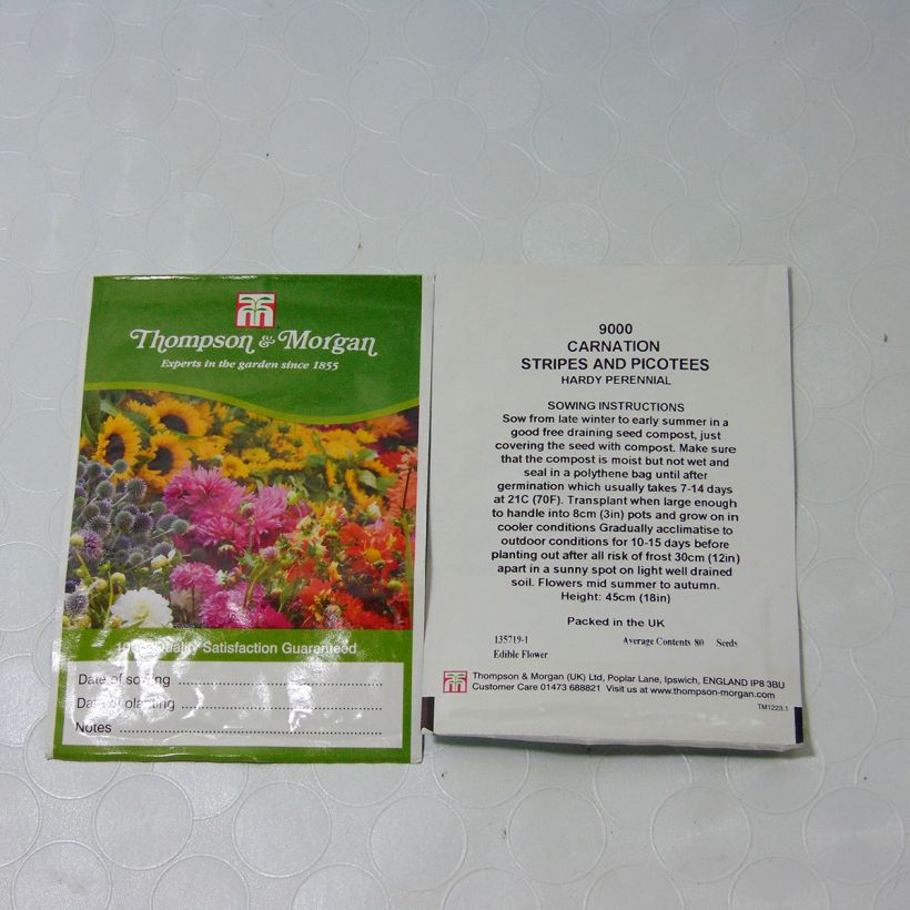 Ejemplo de ejemplar de Dianthus caryophyllus Stripes & Picotees - Clavel saco de 80 semillas tal y como se entrega