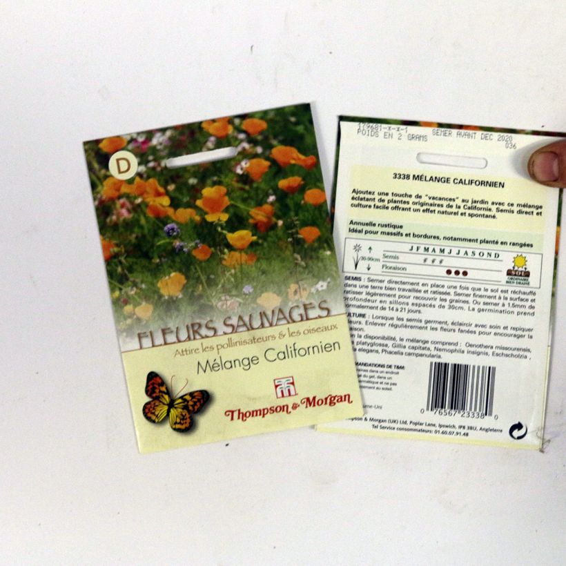 Ejemplo de ejemplar de Semillas de Flores Silvestres - Mezcla Californiana saco de 2 gramos de semillas tal y como se entrega