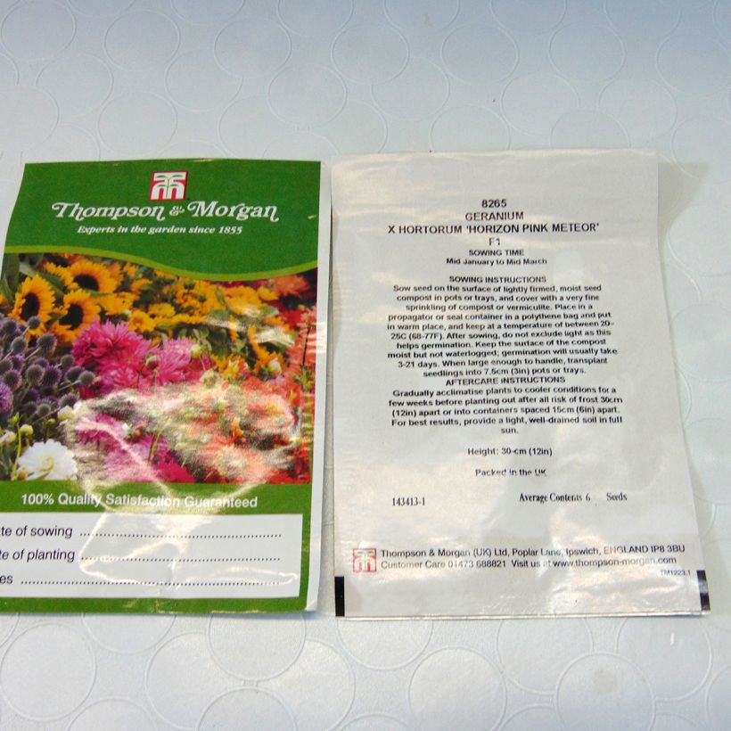 Ejemplo de ejemplar de Geranio Horizon Pink Meteor F1 Hybrid- Pelargonium saco de 6 semillas tal y como se entrega