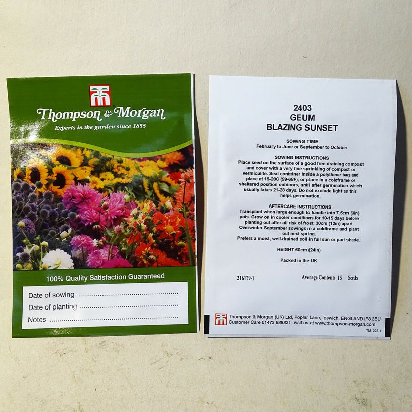 Ejemplo de ejemplar de Geum coccineum Flore Pleno Blazing Sunset - Hierba de San Benito saco de 15 semillas tal y como se entrega
