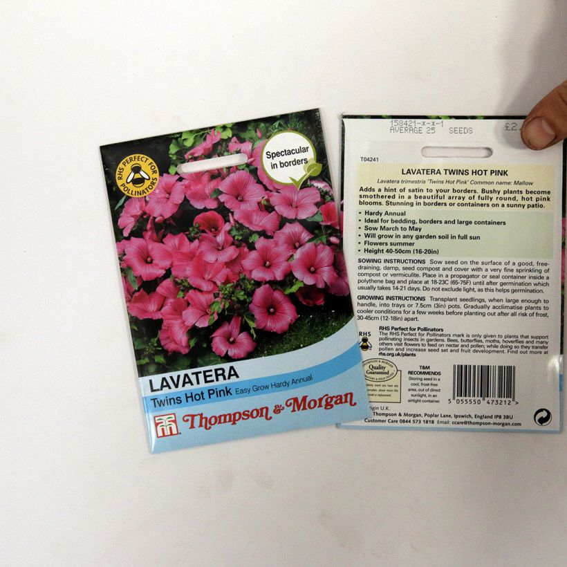 Ejemplo de ejemplar de Malva real Twins Hot Pink saco de 25 semillas tal y como se entrega