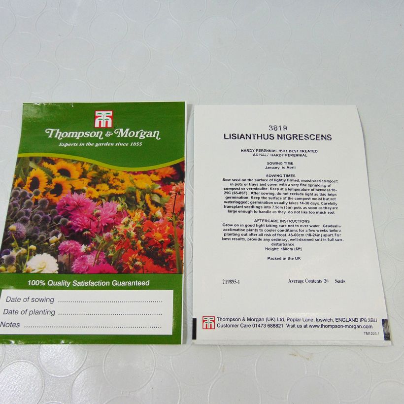 Ejemplo de ejemplar de Lisianthus nigrescens saco de 20 semillas tal y como se entrega