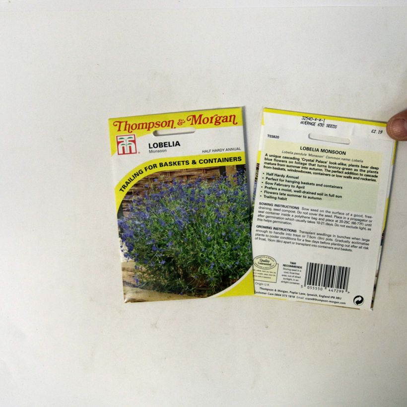 Ejemplo de ejemplar de Lobelia erinus Monsoon saco de 650 semillas tal y como se entrega