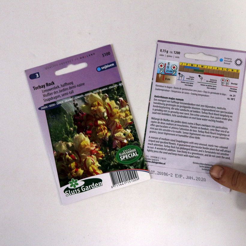 Ejemplo de ejemplar de Antirrhinum Torbay Rock saco de 950 semillas (0,15g) tal y como se entrega