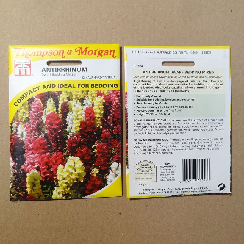 Ejemplo de ejemplar de Antirrhinum Nanum Dwarf Bedding Mixed saco de 4500 semillas tal y como se entrega