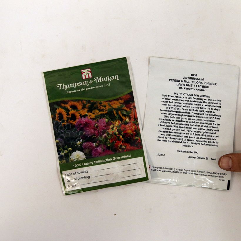 Ejemplo de ejemplar de Antirrhinum Chinese Lanterns F1 Hybrid saco de 20 semillas tal y como se entrega