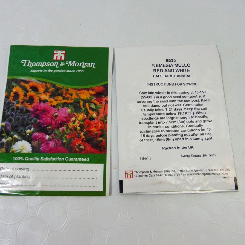 Ejemplo de ejemplar de Nemesia Mello Red & White saco de 850 semillas (0,2g) tal y como se entrega