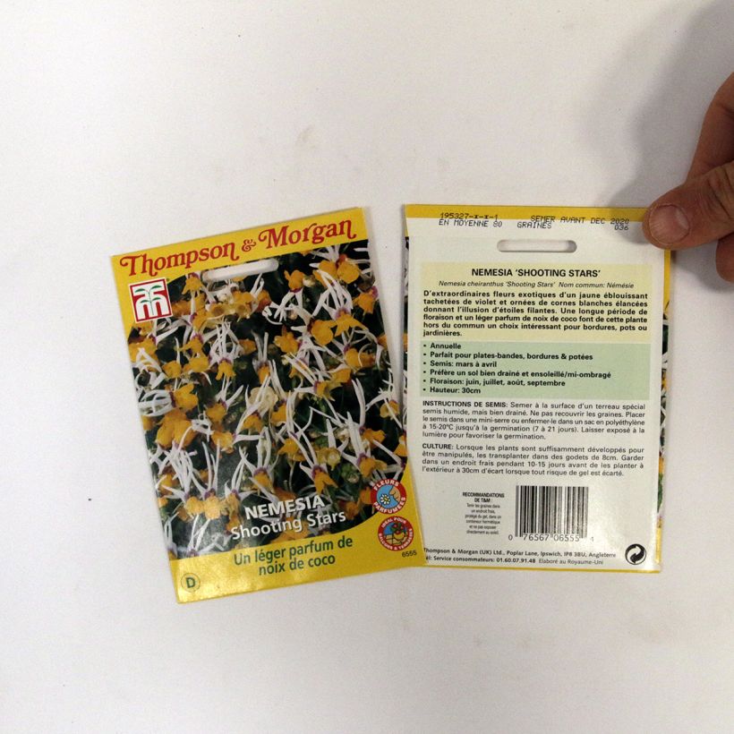 Ejemplo de ejemplar de Nemesia cheiranthus Shooting Stars saco de 0.012 gramos de semillas tal y como se entrega