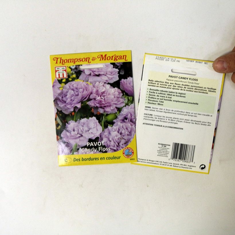 Ejemplo de ejemplar de Adormidera Candy Floss - Papaver somniferum saco de 300 semillas tal y como se entrega
