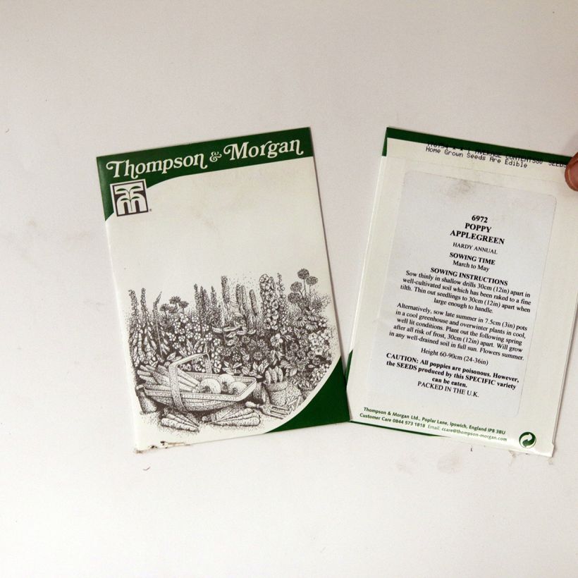 Ejemplo de ejemplar de Adormidera Applegreen - Papaver somniferum saco de 80 semillas tal y como se entrega