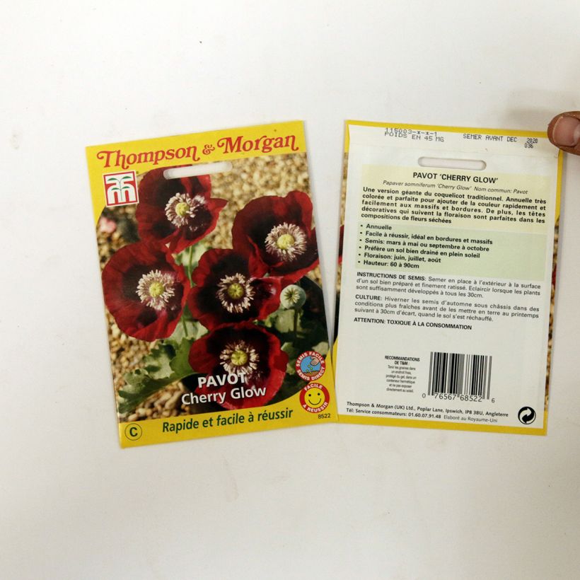 Ejemplo de ejemplar de Adormidera Cherry Glow - Papaver somniferum saco de 200 semillas tal y como se entrega