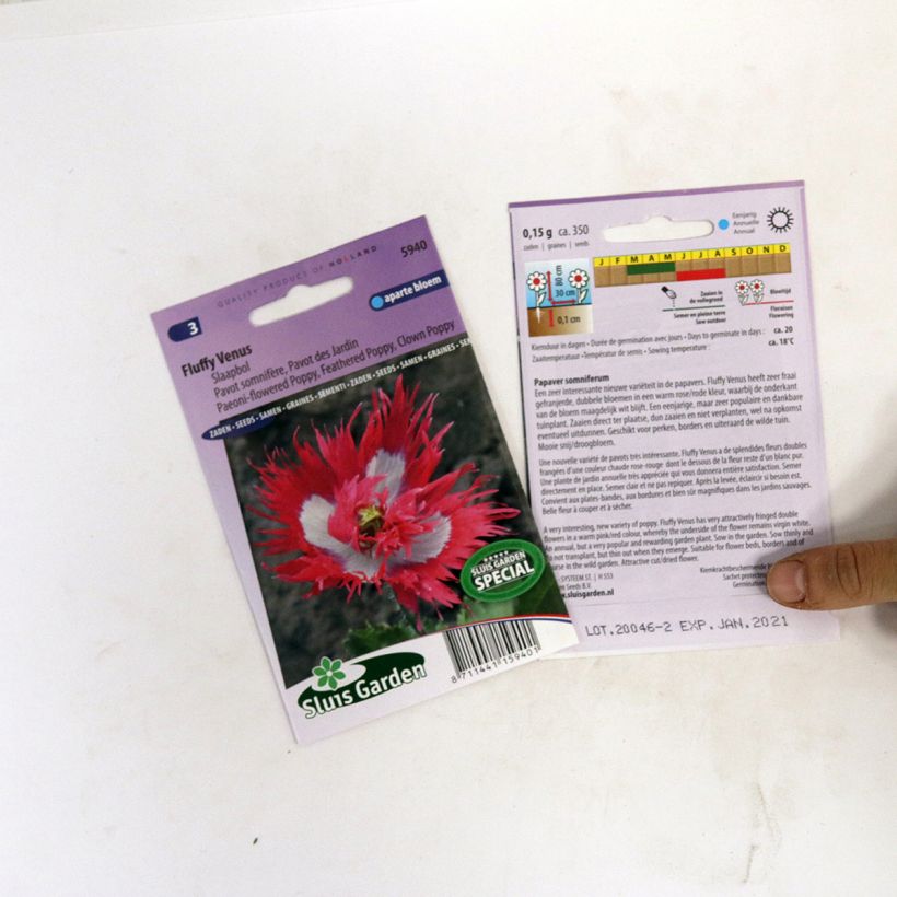 Ejemplo de ejemplar de Adormidera Fluffy Venus - Papaver somniferum saco de 800 semillas tal y como se entrega