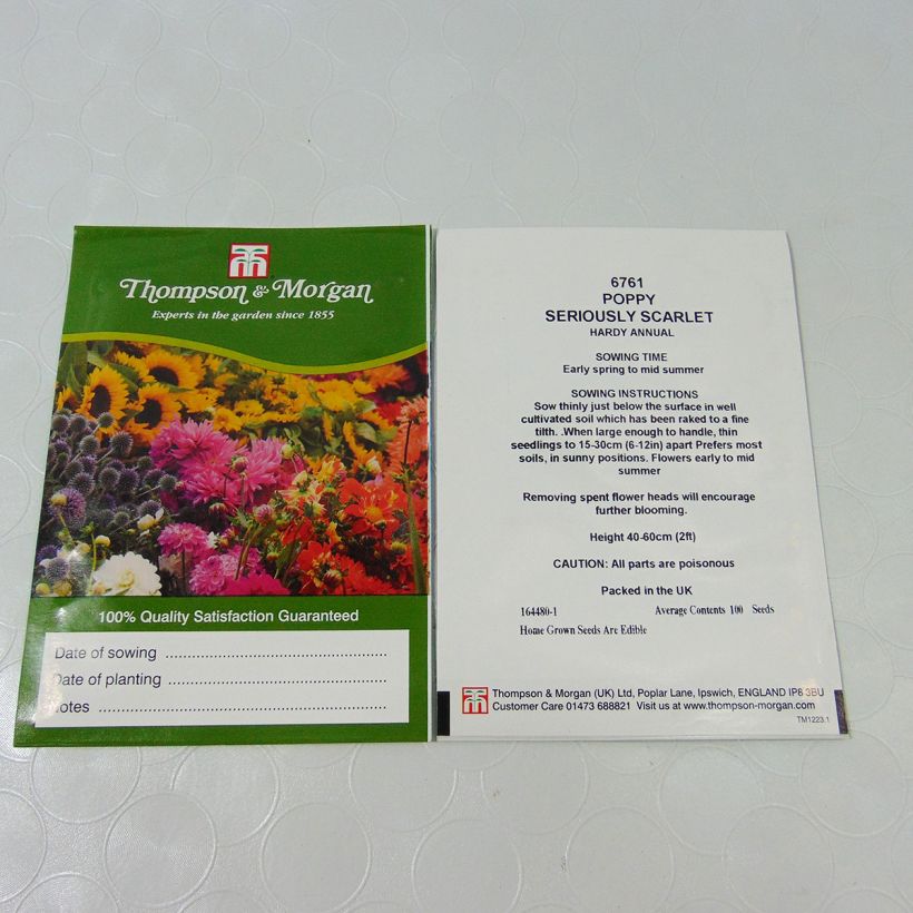 Ejemplo de ejemplar de Adormidera Seriously Scarlet - Papaver somniferum saco de 100 semillas tal y como se entrega