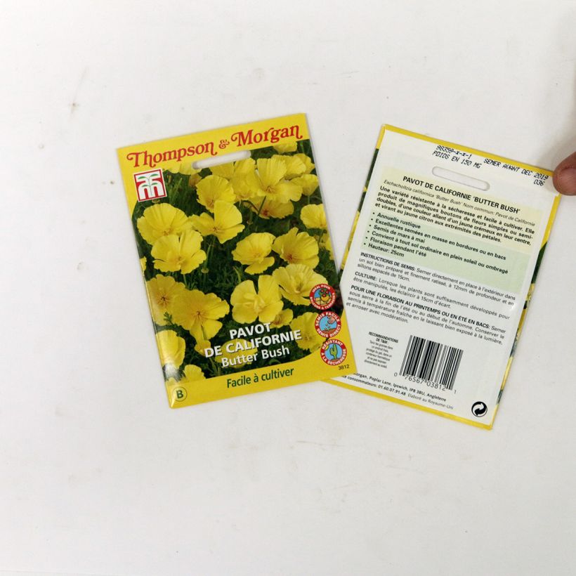 Ejemplo de ejemplar de Eschscholzia californica Butter Bush - Amapola de California saco de 350 semillas (0,6g) tal y como se entrega