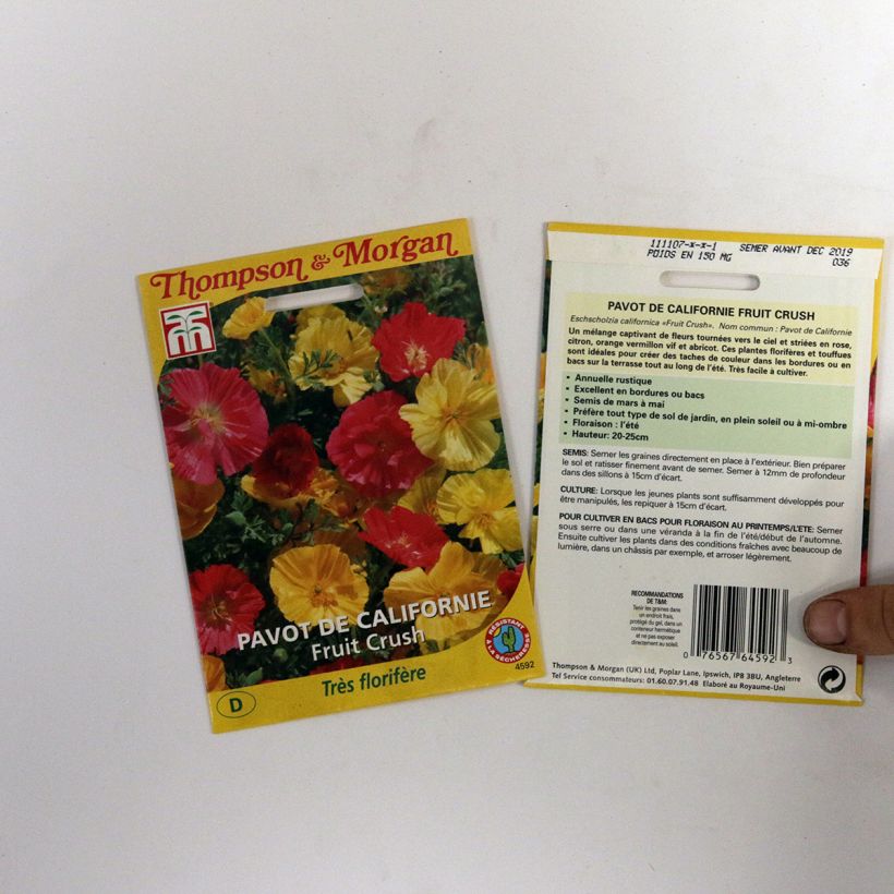 Ejemplo de ejemplar de Eschscholzia californica Fruit Crush - Amapola de California saco de 150 semillas tal y como se entrega