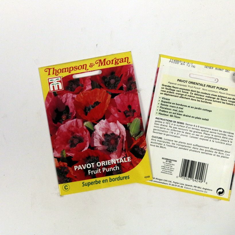 Ejemplo de ejemplar de Amapola oriental Fruit Punch - Papaver orientale saco de 50 semillas tal y como se entrega