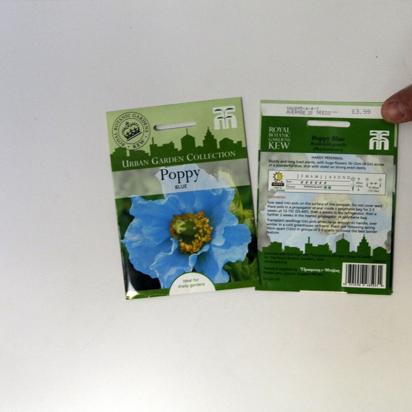 Ejemplo de ejemplar de Pensamiento Chalon Supreme Wildberry Mixed saco de 20 semillas tal y como se entrega
