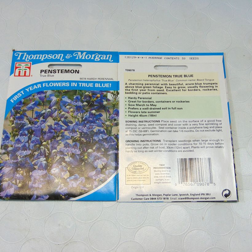 Ejemplo de ejemplar de Penstemon heterophyllus True Blue saco de 50 semillas tal y como se entrega