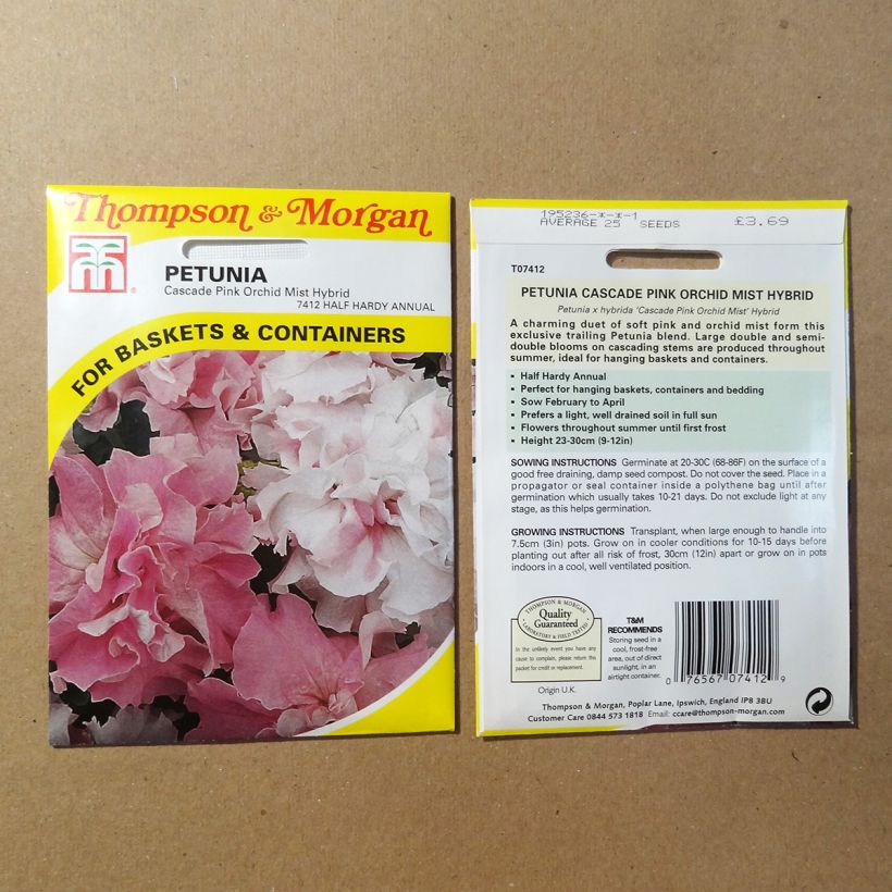 Ejemplo de ejemplar de Petunia Cascade Pink Orchid Mist saco de 25 semillas tal y como se entrega