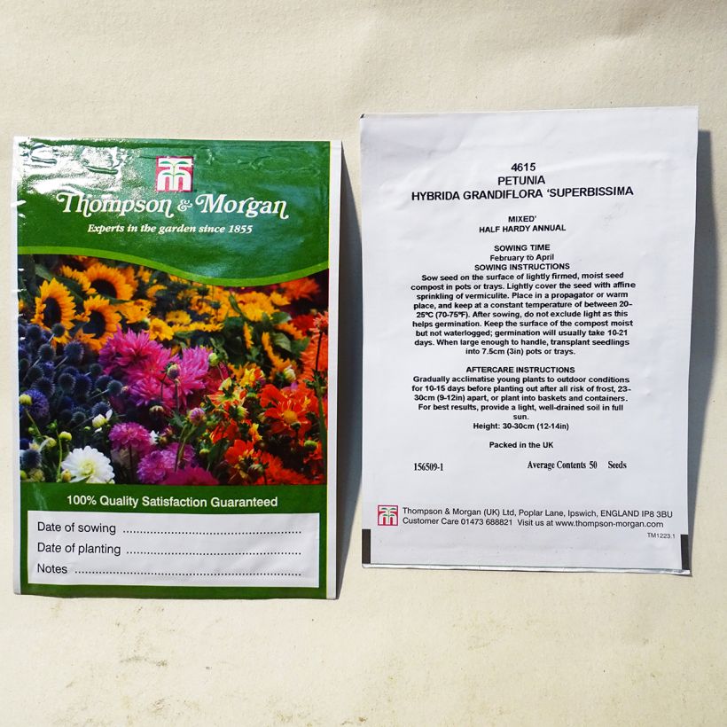 Ejemplo de ejemplar de Petunia Superbissima saco de 50 semillas tal y como se entrega