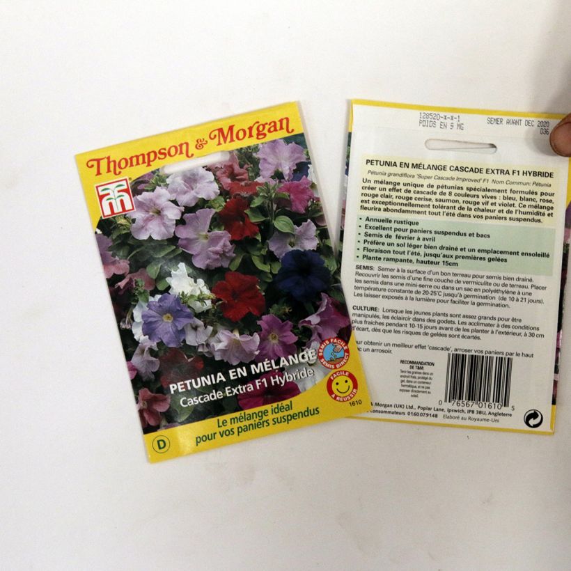 Ejemplo de ejemplar de Petunia Cascade Extra saco de 90 semillas tal y como se entrega