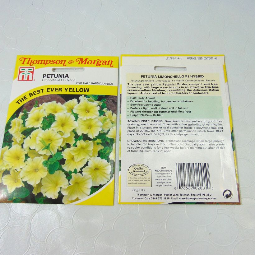 Ejemplo de ejemplar de Petunia Limoncello saco de 40 semillas tal y como se entrega