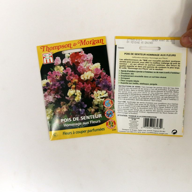 Ejemplo de ejemplar de Guisante de olor Hommage aux fleurs - Lathyrus odoratus saco de 45 semillas tal y como se entrega
