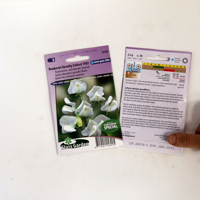 Ejemplo de ejemplar de Guisante de olor Dorothy Eckford - Lathyrus odoratus saco de 30 semillas tal y como se entrega