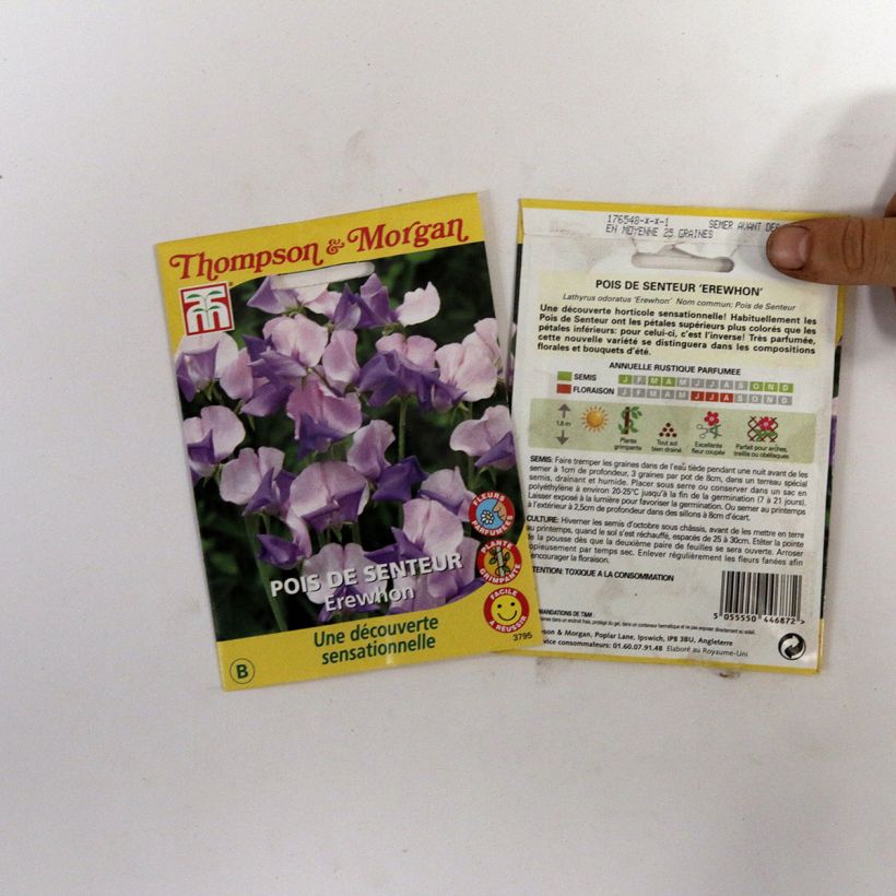 Ejemplo de ejemplar de Lathyrus Erewhon saco de 25 semillas (2,5g) tal y como se entrega