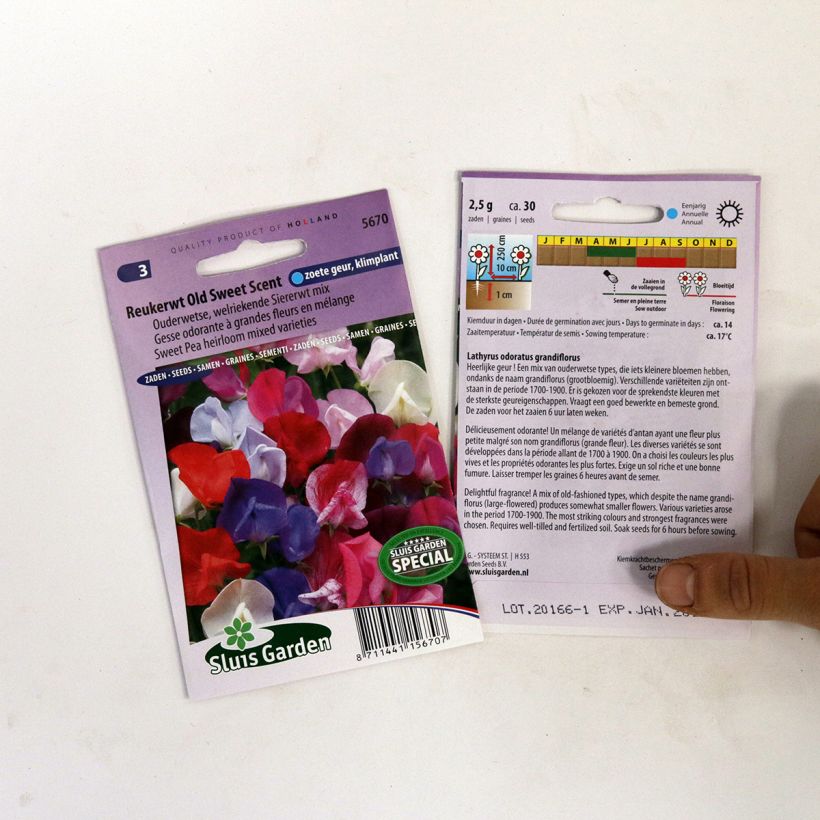 Ejemplo de ejemplar de Guisante de olor Old Sweet Scent - Lathyrus odoratus saco de 30 semillas tal y como se entrega