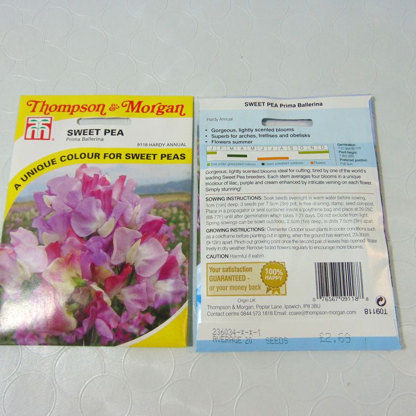 Ejemplo de ejemplar de Guisante de olor Prima Ballerina - Lathyrus odoratus saco de 25 semillas (2,5g) tal y como se entrega