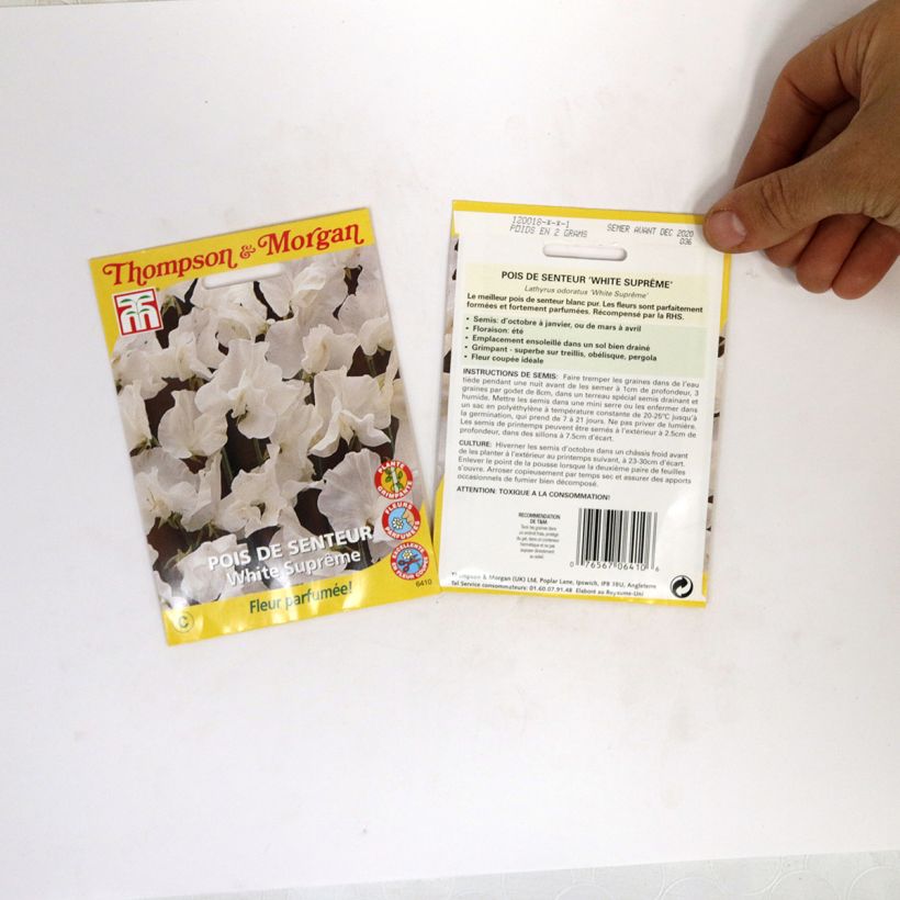 Ejemplo de ejemplar de Guisante de olor White Suprême - Lathyrus odoratus saco de 25 semillas (2,5g) tal y como se entrega