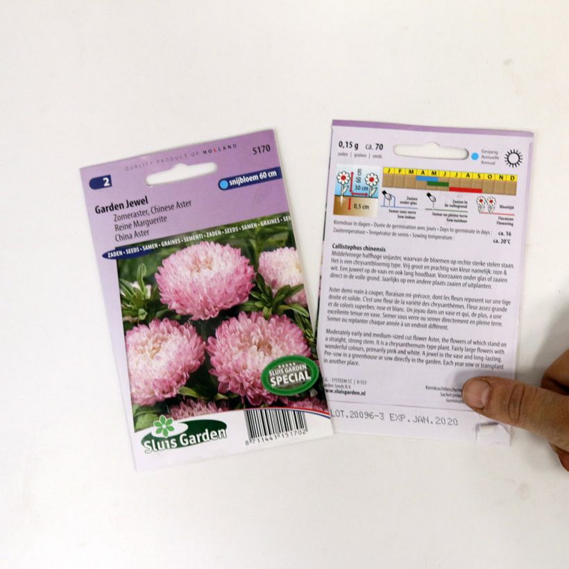 Ejemplo de ejemplar de Reina Margarita Garden Jewel Rose - Callistephus saco de 150 semillas (0,4g) tal y como se entrega