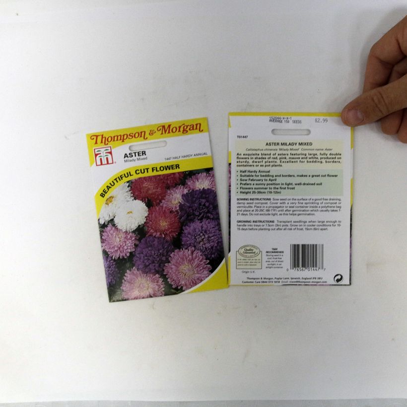 Ejemplo de ejemplar de Reina Margarita Milady Mixed - Callistephus saco de 150 semillas (0,4g) tal y como se entrega