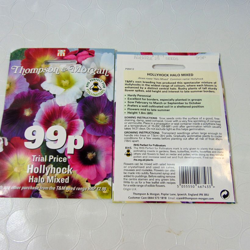 Ejemplo de ejemplar de Alcea rosea Halo Mixed - Malva real saco de 25 semillas tal y como se entrega