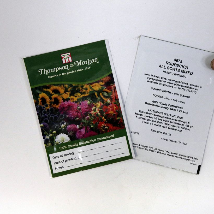 Ejemplo de ejemplar de Rudbeckia hirta All Sort Mixed saco de 170 semillas tal y como se entrega
