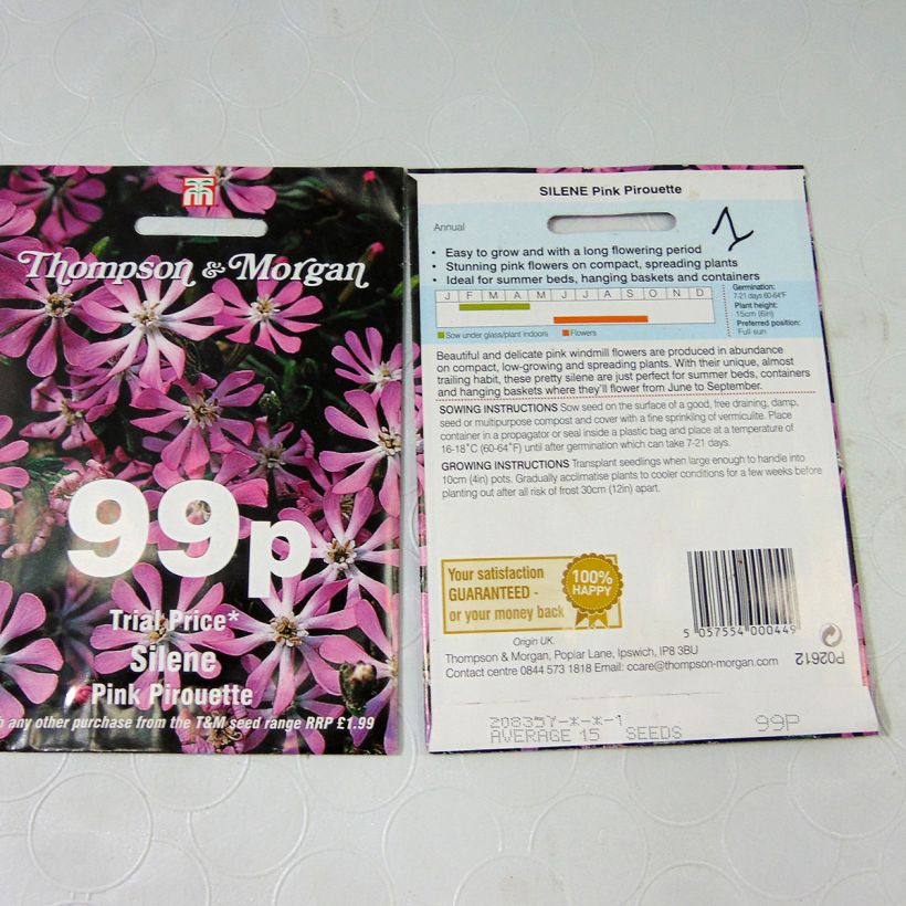Ejemplo de ejemplar de Silene colorata Pink Pirouette saco de 15 semillas tal y como se entrega